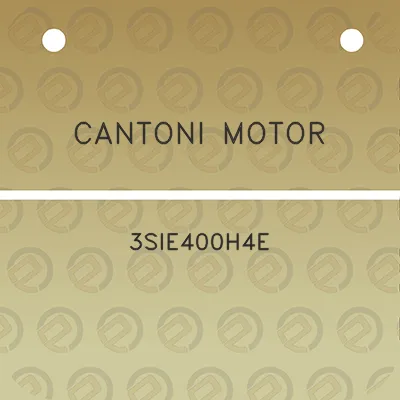 cantoni-motor-3sie400h4e