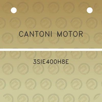 cantoni-motor-3sie400h8e