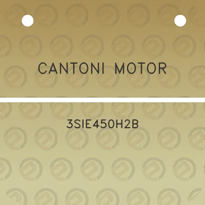 cantoni-motor-3sie450h2b