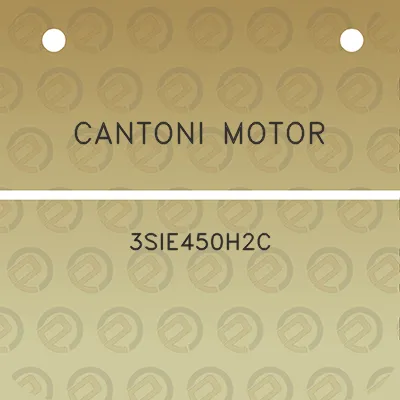 cantoni-motor-3sie450h2c