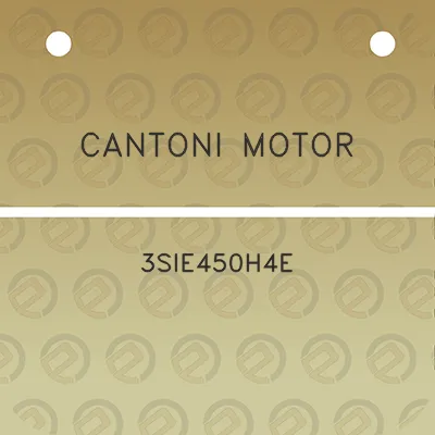 cantoni-motor-3sie450h4e