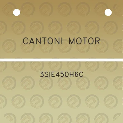 cantoni-motor-3sie450h6c