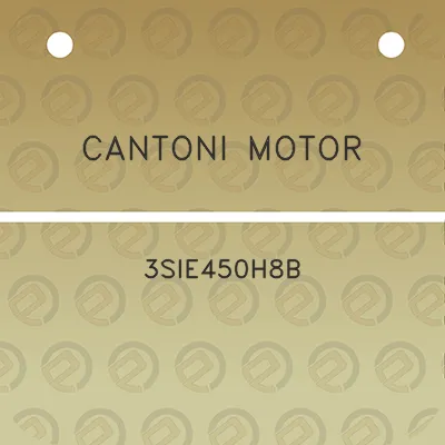 cantoni-motor-3sie450h8b