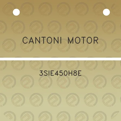 cantoni-motor-3sie450h8e