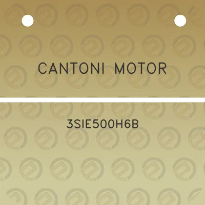 cantoni-motor-3sie500h6b