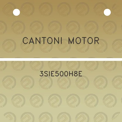 cantoni-motor-3sie500h8e