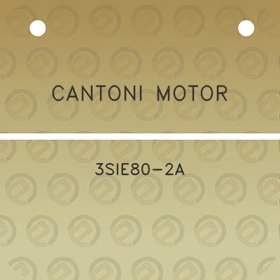 cantoni-motor-3sie80-2a