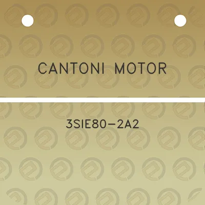 cantoni-motor-3sie80-2a2