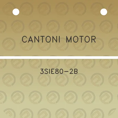 cantoni-motor-3sie80-2b