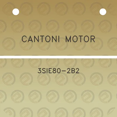 cantoni-motor-3sie80-2b2