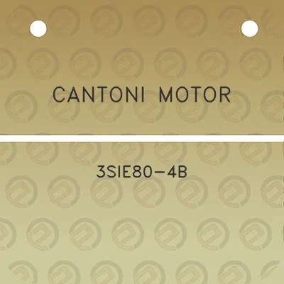 cantoni-motor-3sie80-4b