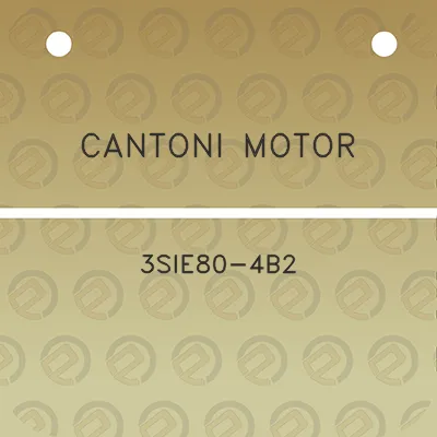 cantoni-motor-3sie80-4b2