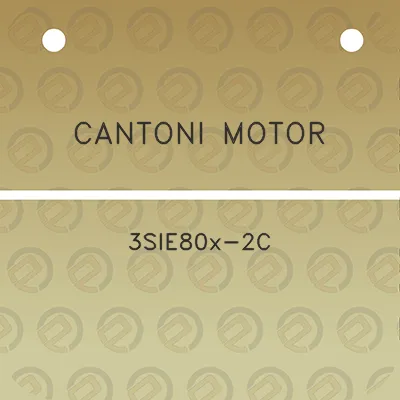 cantoni-motor-3sie80x-2c