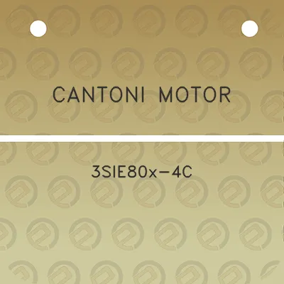 cantoni-motor-3sie80x-4c