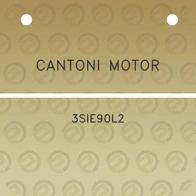 cantoni-motor-3sie90l2