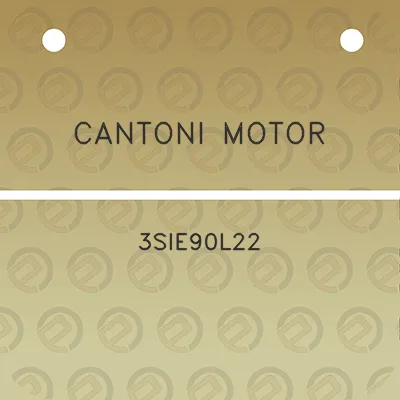 cantoni-motor-3sie90l22