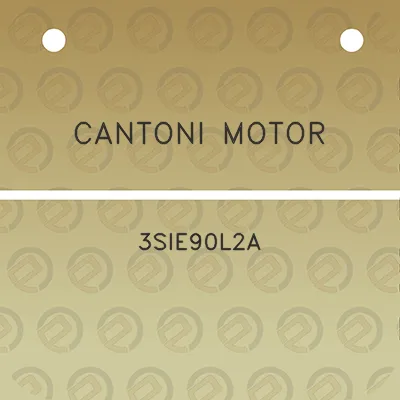 cantoni-motor-3sie90l2a