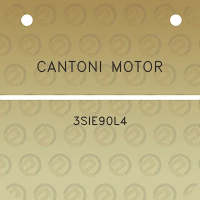 cantoni-motor-3sie90l4