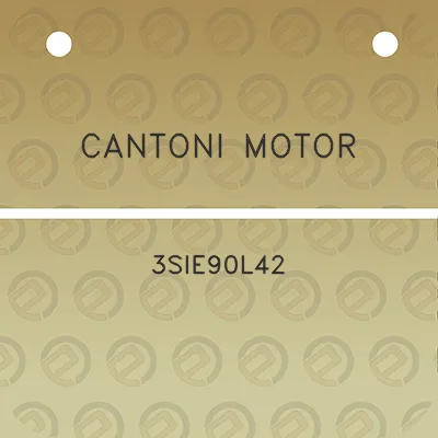 cantoni-motor-3sie90l42