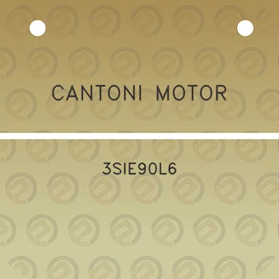 cantoni-motor-3sie90l6