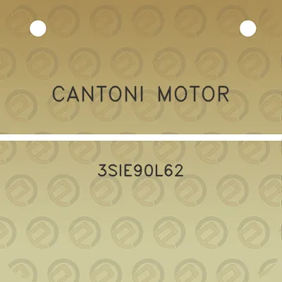 cantoni-motor-3sie90l62