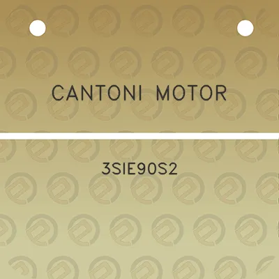 cantoni-motor-3sie90s2