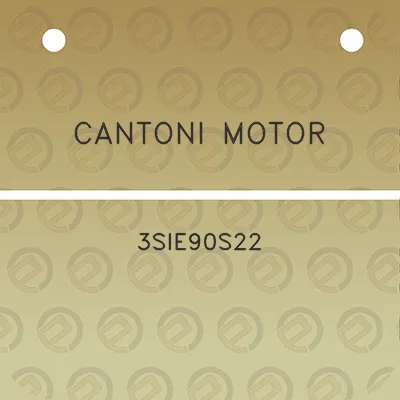 cantoni-motor-3sie90s22