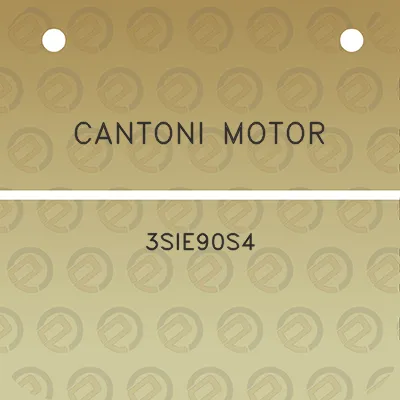 cantoni-motor-3sie90s4