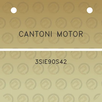 cantoni-motor-3sie90s42