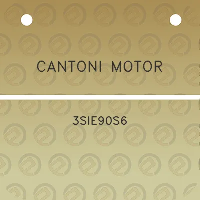 cantoni-motor-3sie90s6