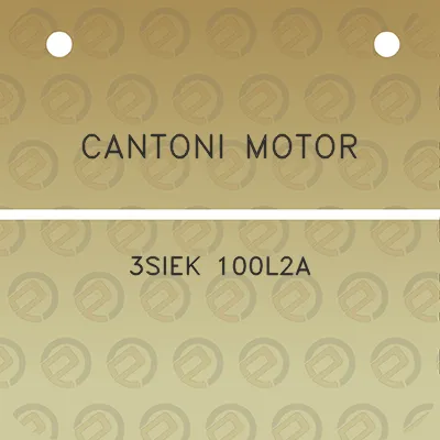 cantoni-motor-3siek-100l2a