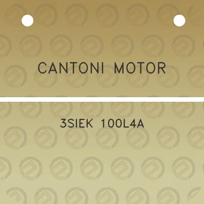 cantoni-motor-3siek-100l4a