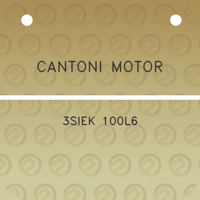 cantoni-motor-3siek-100l6