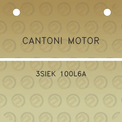 cantoni-motor-3siek-100l6a