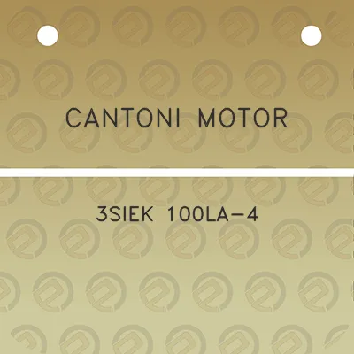 cantoni-motor-3siek-100la-4