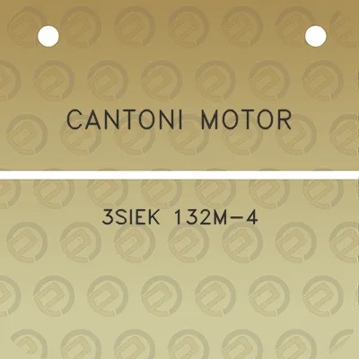 cantoni-motor-3siek-132m-4