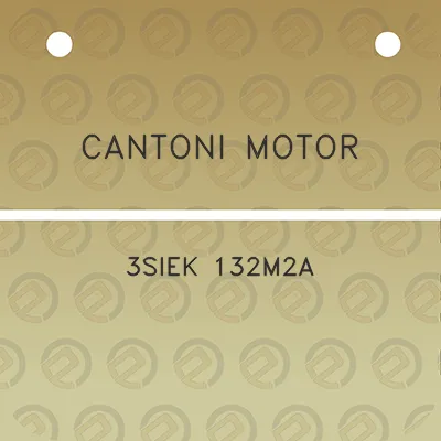 cantoni-motor-3siek-132m2a