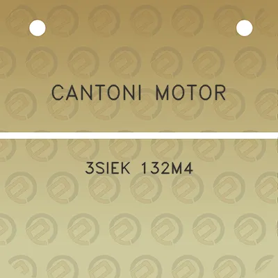 cantoni-motor-3siek-132m4