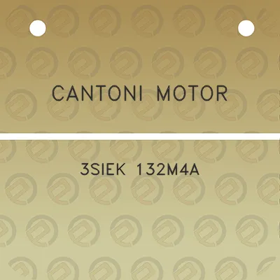 cantoni-motor-3siek-132m4a