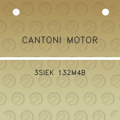 cantoni-motor-3siek-132m4b