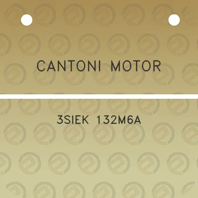 cantoni-motor-3siek-132m6a