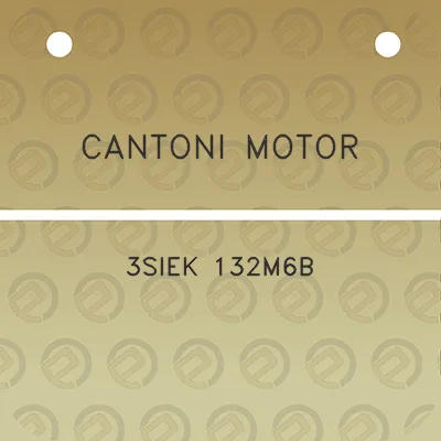 cantoni-motor-3siek-132m6b