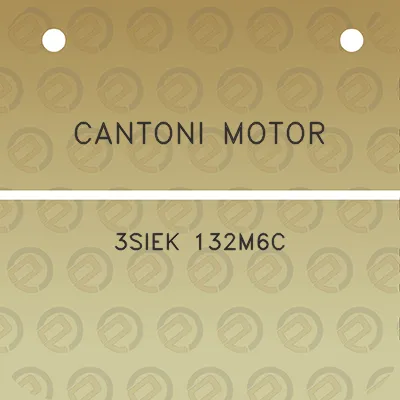 cantoni-motor-3siek-132m6c