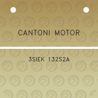 cantoni-motor-3siek-132s2a