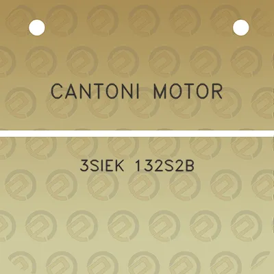 cantoni-motor-3siek-132s2b