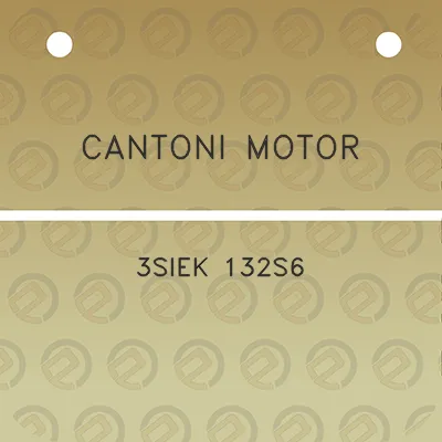 cantoni-motor-3siek-132s6