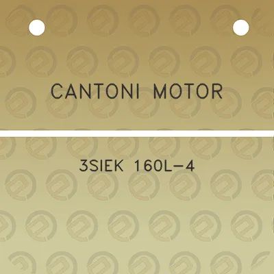 cantoni-motor-3siek-160l-4