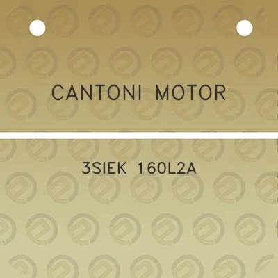 cantoni-motor-3siek-160l2a