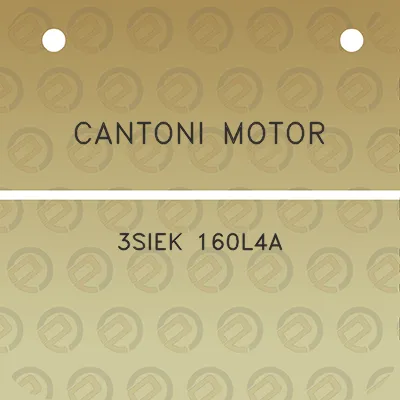 cantoni-motor-3siek-160l4a