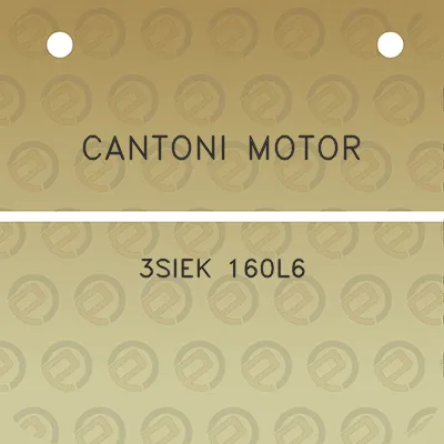 cantoni-motor-3siek-160l6